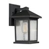 Z-Lite Portland 1 Light Outdoor Wall Light, Oil Rubbed Bronze And Clear Seedy 531S-ORB